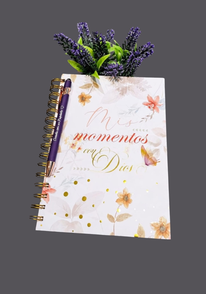 Agenda Artesanal 3